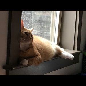 Meet your Posher, Jaclyn